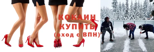 дурь Алексин