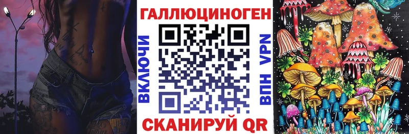 закладки  Тейково  Псилоцибиновые грибы Psilocybine cubensis 