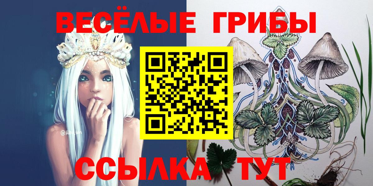 Тейково  Псилоцибиновые грибы мухоморы  Псилоцибиновые грибы Cubensis  Вход с VPN 