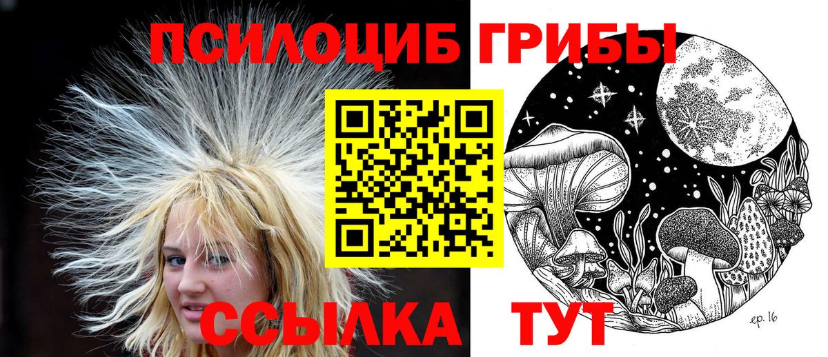 Псилоцибиновые грибы GOLDEN TEACHER Тейково